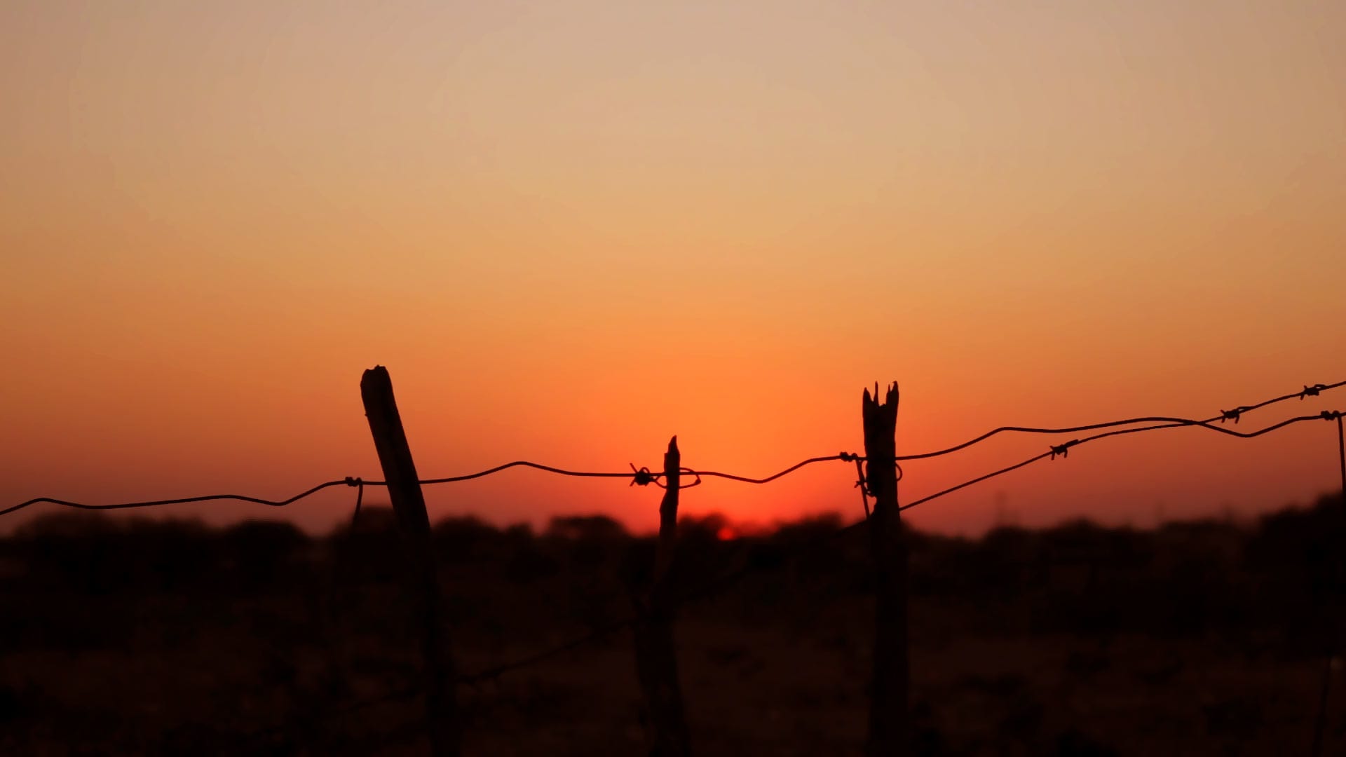 Paisagem de Botswana em Libertai